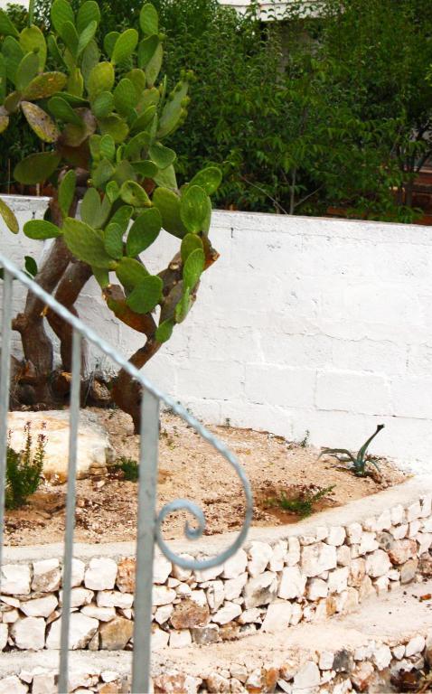 B&B Margherita Ostuni Kültér fotó