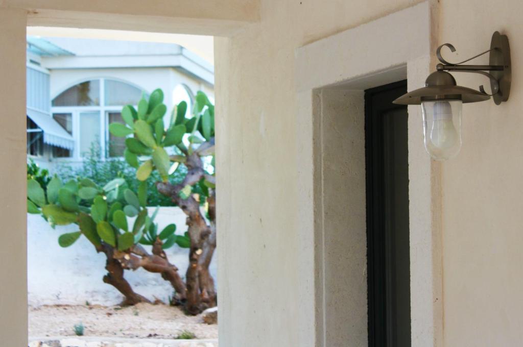 B&B Margherita Ostuni Kültér fotó